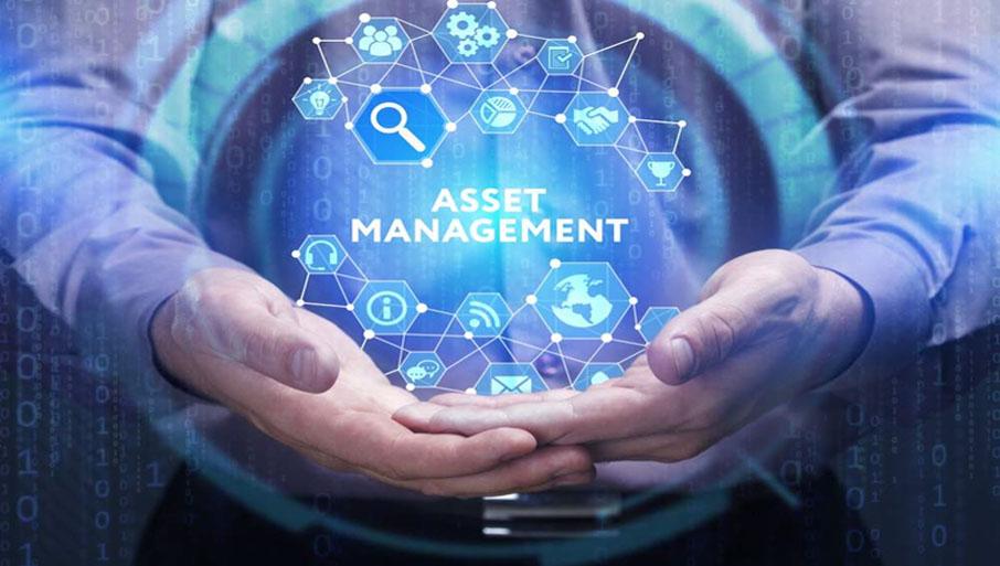 Asset Management Companies